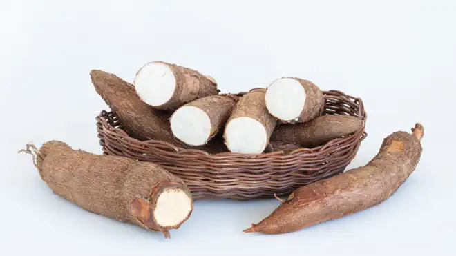 Manfaat Singkong bagi Kesehatan: Murah, Enak, & Kaya Nutrisi!